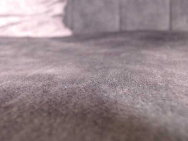 LannyShell live cam on BongaCams