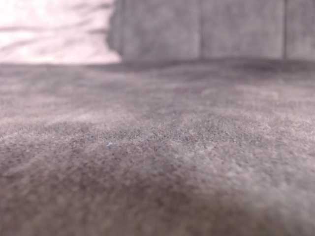 LannyShell live cam on BongaCams