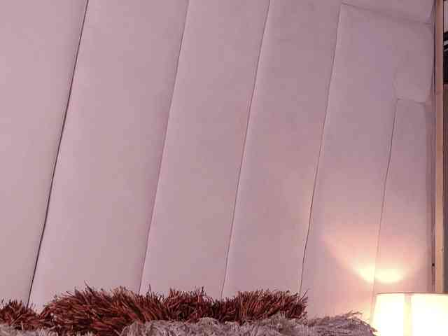 LannyShell webcam