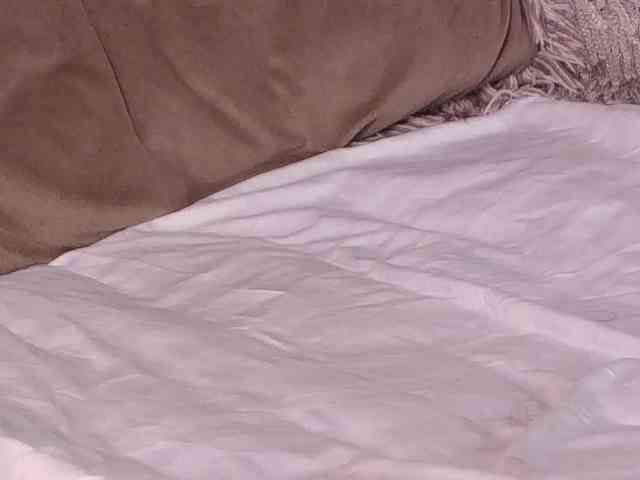 LannyShell