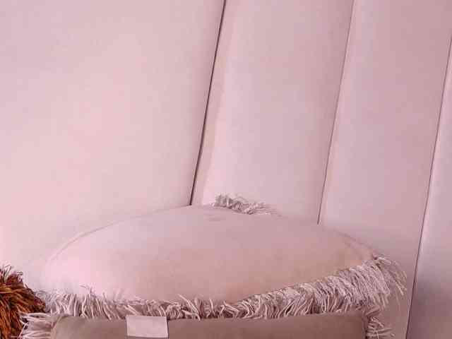 LannyShell webcam