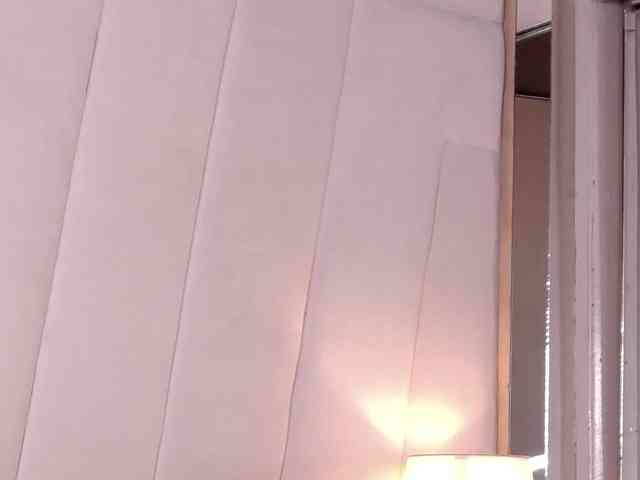 LannyShell webcam