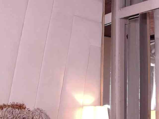 LannyShell webcam