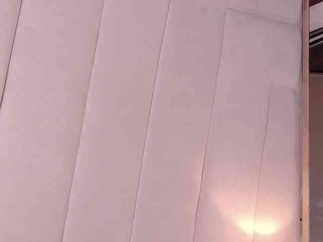 LannyShell webcam