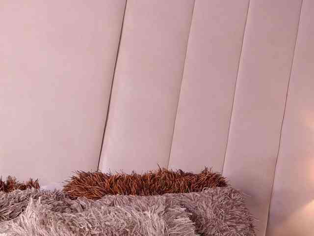 LannyShell webcam