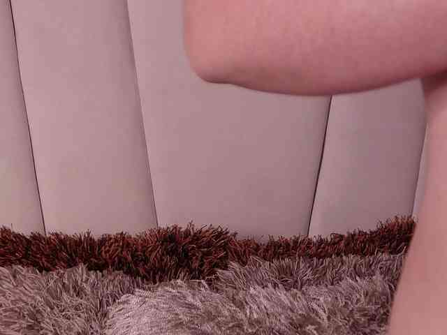LannyShell webcam