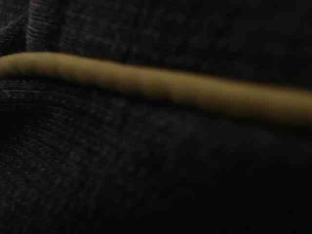 LannyShell webcam