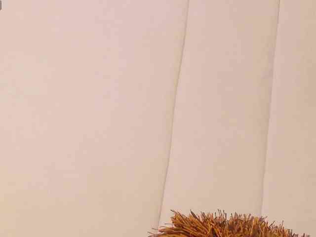 LannyShell webcam