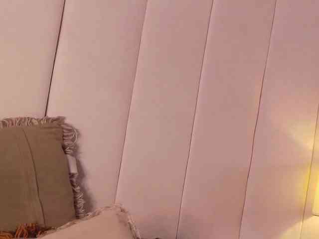 LannyShell webcam