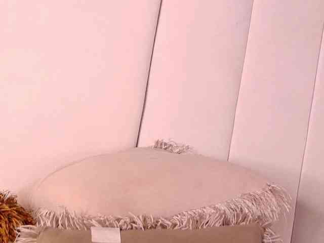 LannyShell webcam