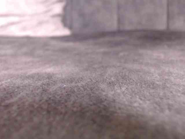 LannyShell
