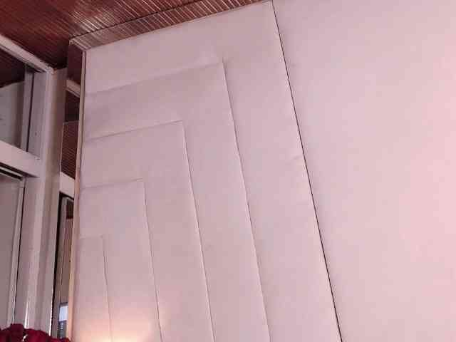 LannyShell webcam