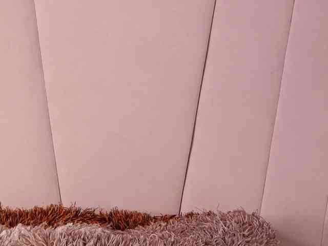 LannyShell webcam