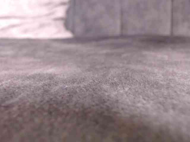 LannyShell