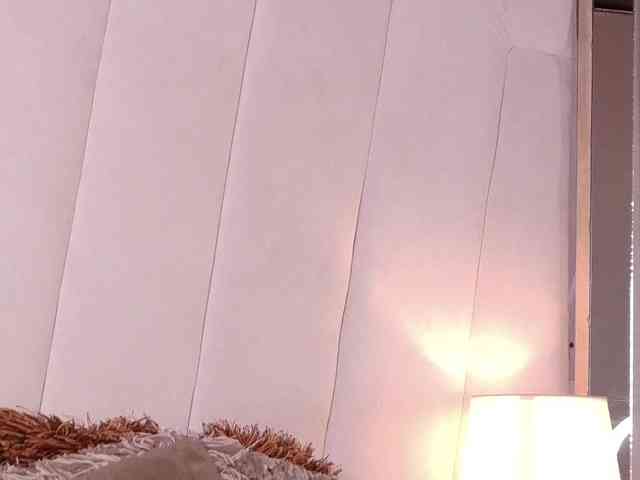 LannyShell webcam