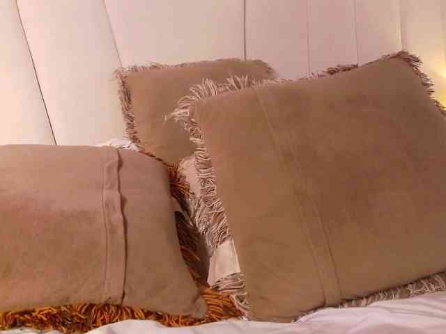 LannyShell webcam