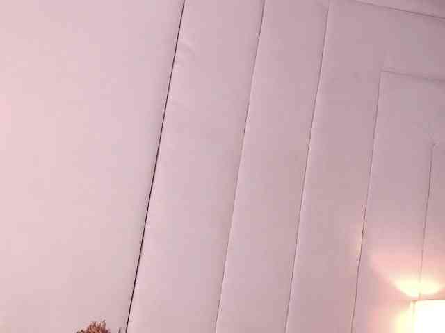 LannyShell webcam