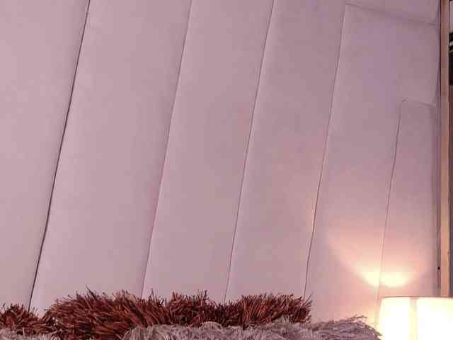 LannyShell webcam