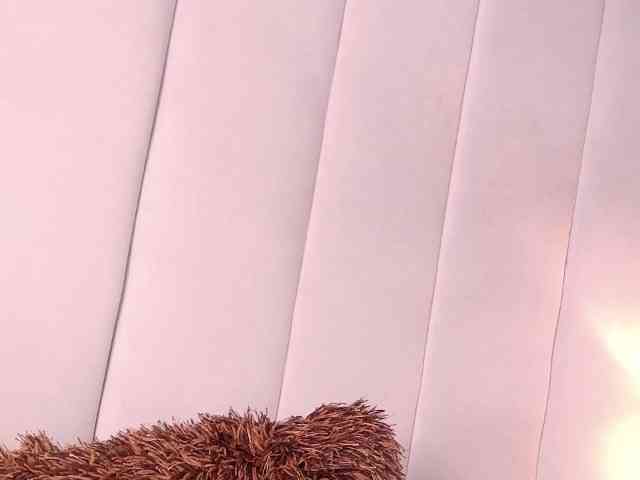LannyShell webcam