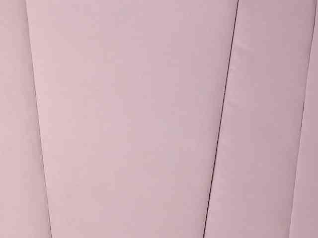 LannyShell webcam