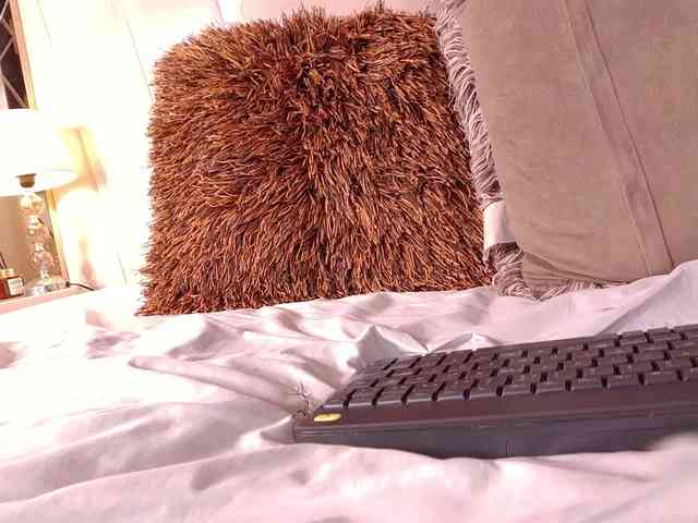 LannyShell webcam