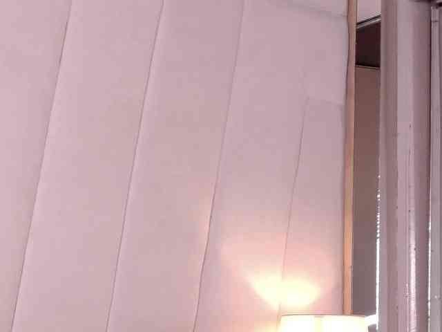 LannyShell webcam