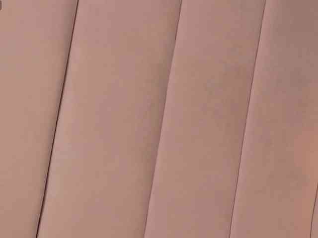 LannyShell webcam