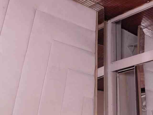 LannyShell webcam