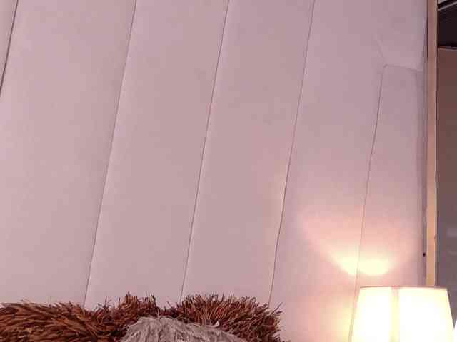 LannyShell webcam
