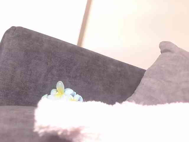 LannyShell webcam