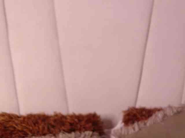LannyShell webcam