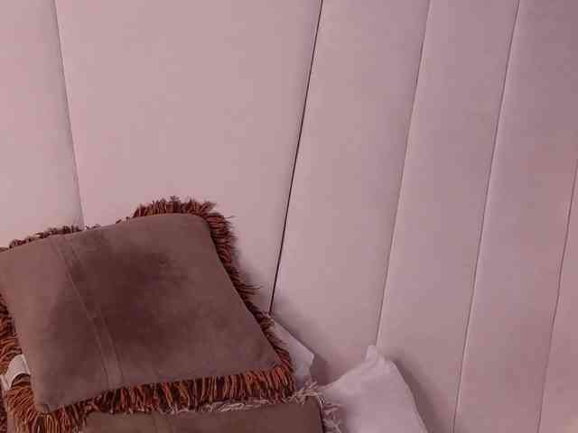 LannyShell webcam