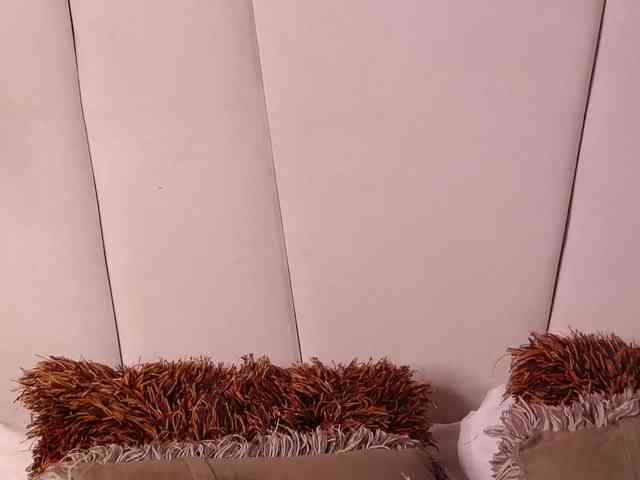 LannyShell webcam