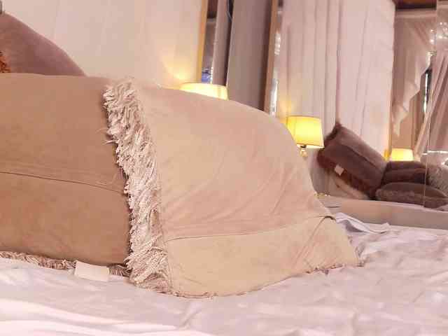 LannyShell webcam