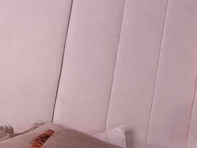 LannyShell webcam