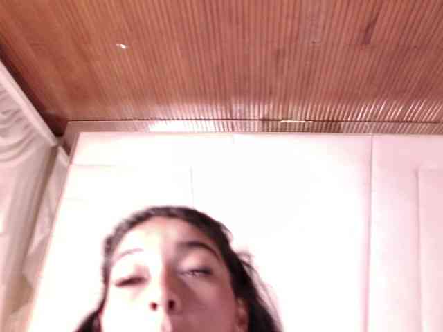 LannyShell webcam