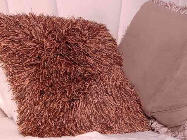 LannyShell webcam