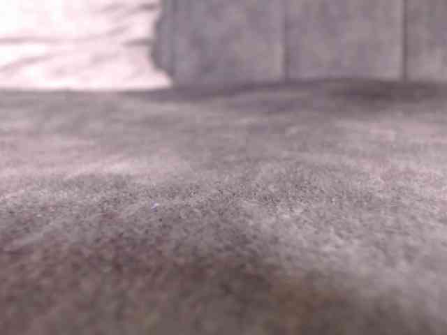 LannyShell