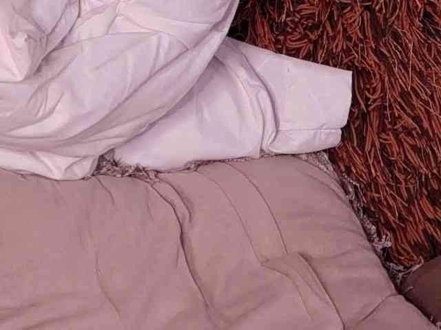 LannyShell