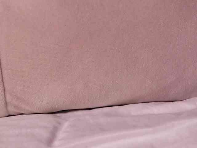 LannyShell webcam