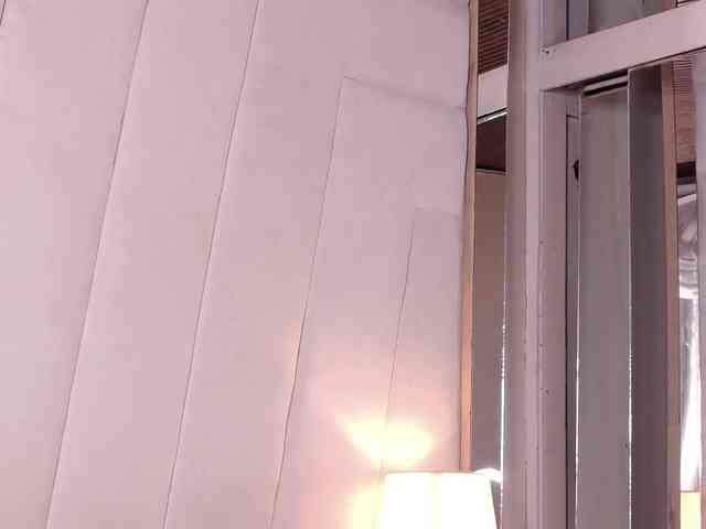 LannyShell webcam