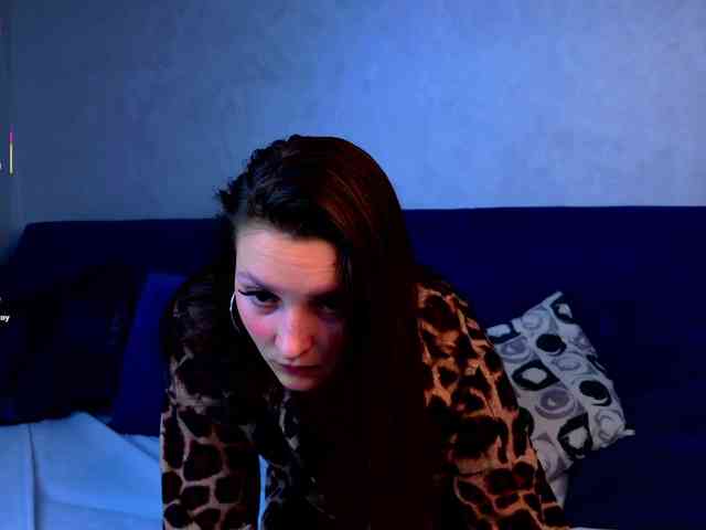 Vixsaria webcam