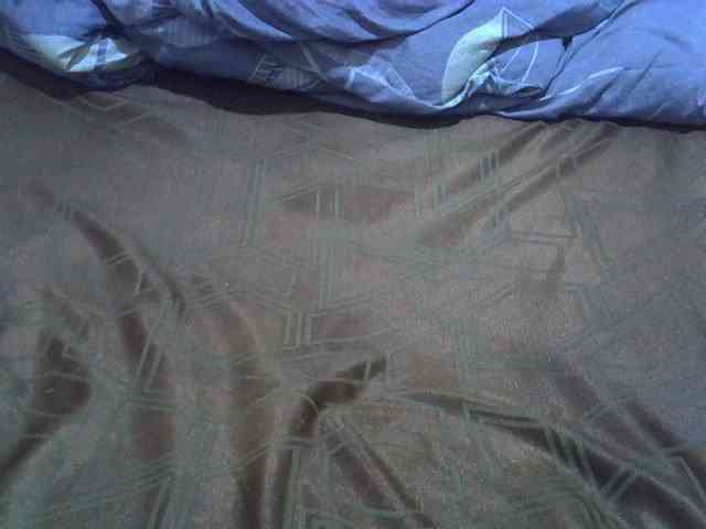 cudlecanvas webcam