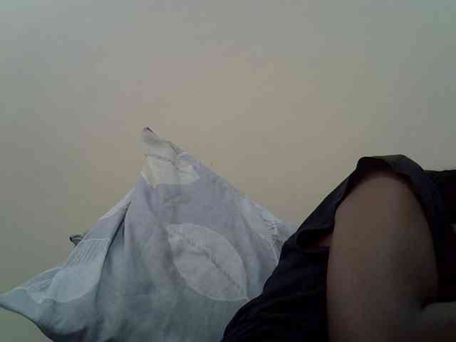 cudlecanvas webcam