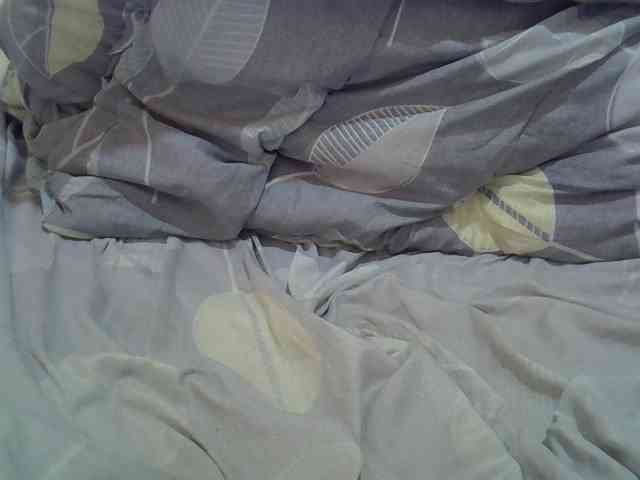 cudlecanvas webcam
