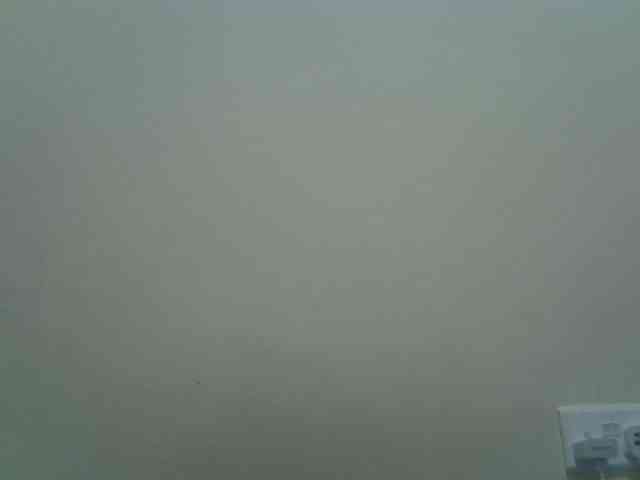 cudlecanvas webcam