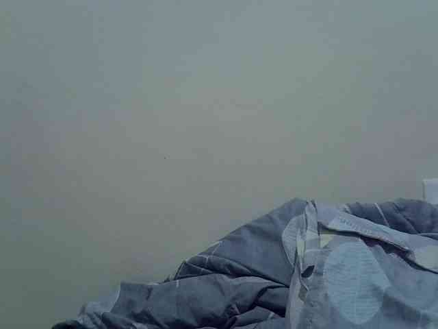 cudlecanvas webcam