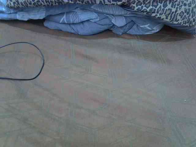 cudlecanvas webcam