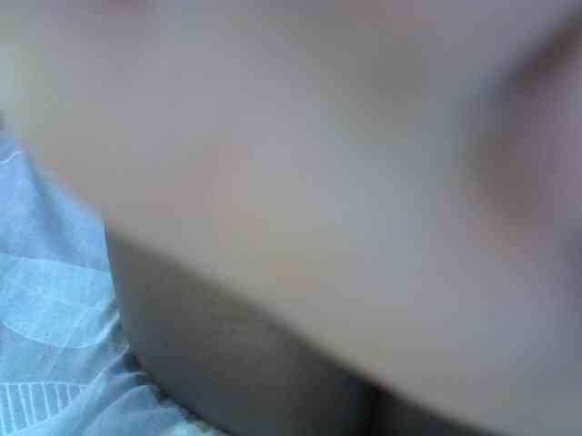 cudlecanvas webcam