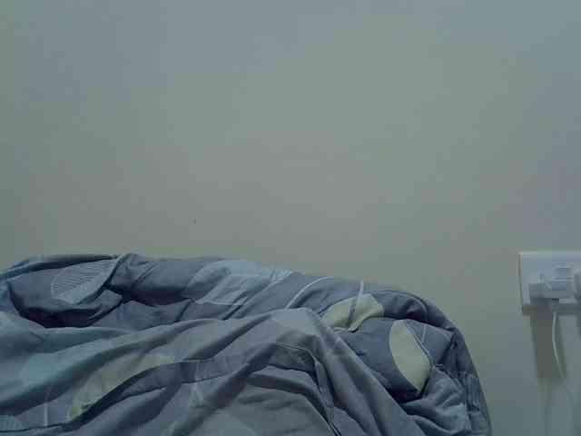 cudlecanvas webcam